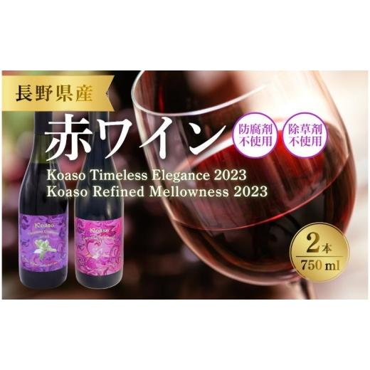 ふるさと納税 ワイン 赤ワイン 長野県 上田市 Koaso 長期熟成向き赤ワイン2023ヴィンテージ 2本セット ワイン 日本ワイン 赤 上田市  