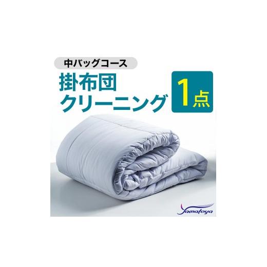 ふるさと納税 雑貨・日用品 新潟県 糸魚川市 掛布団クリーニング (1点パック) 中バッグコース 1点 丁寧 丸洗い セミダブル 掛け布団 寝具 こたつ 丸洗い クリ…