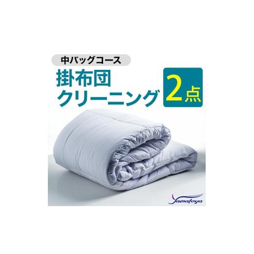 ふるさと納税 雑貨・日用品 新潟県 糸魚川市 掛布団クリーニング (2点パック) 中バッグコース 2点 丁寧 丸洗い セミダブル 掛け布団 寝具 こたつ 丸洗い クリ…