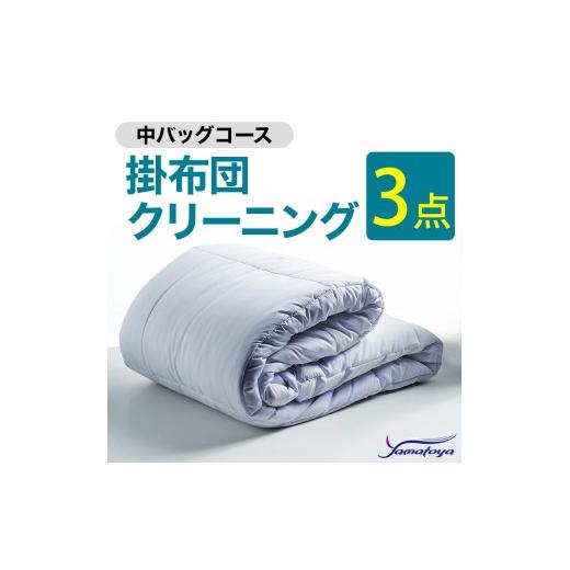 ふるさと納税 雑貨・日用品 新潟県 糸魚川市 掛布団クリーニング (3点パック) 中バッグコース 3点 丁寧 丸洗い セミダブル 掛け布団 寝具 こたつ 丸洗い クリ…