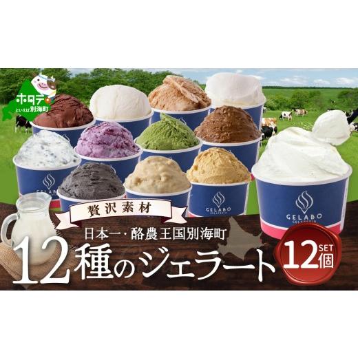ふるさと納税 アイス・ヨーグルト ジェラート 北海道 別海町 贅沢素材・12種のジェラート EK0000015 ( ふるさとチョイス ふるさと納税 仕組み キャンペーン …