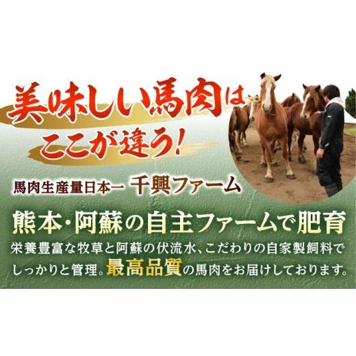 ふるさと納税 馬肉 熊本県 合志市  全12回定期便 国産 馬刺し 赤身 約400g 赤身馬刺し たれ付き 馬肉 熊本県 ブロック 真空パック 合志市 株式会社 千興ファー…の画像
