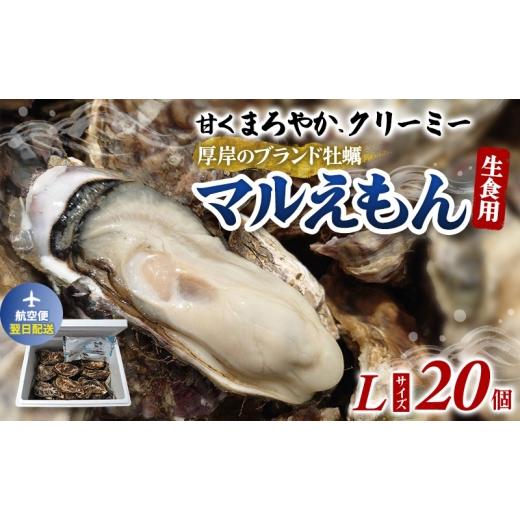ふるさと納税 牡蠣 生牡蠣 北海道 厚岸町 翌日配送 航空便 厚岸のブランド牡蠣 マルえもん Lサイズ 20個 牡蠣 生食用 魚貝類 海鮮 海のミルク 国産 生食用殻付…
