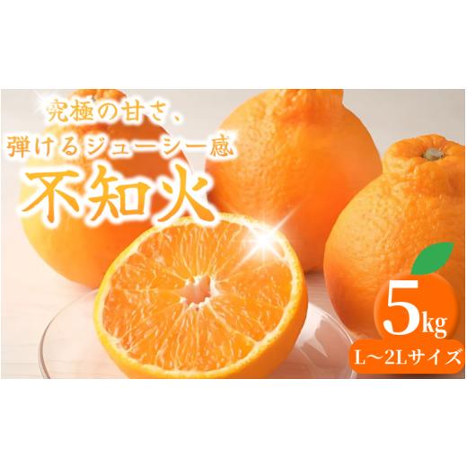 ふるさと納税 みかん・柑橘類 デコポン 和歌山県 田辺市 紀州田辺の 不知火 5kg(2026年3月頃から順次発送予定) / デコポン でこぽん 柑橘 和歌山 みかんラ…