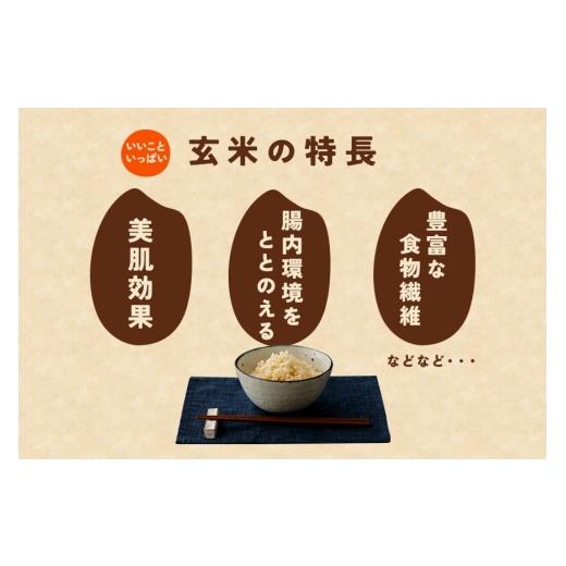 ふるさと納税 玄米 茨城県 笠間市  4月下旬発送(4／21締切) 玄米 5kg 6ヵ月 定期便 (合計30kg) にじのきらめき お米 お弁当 おにぎり 国産 茨城県 笠間市 いば…の画像
