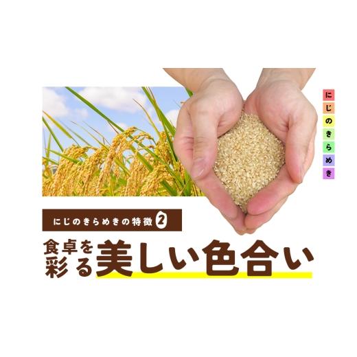 ふるさと納税 玄米 茨城県 笠間市  4月下旬発送(4／21締切) 玄米 5kg 6ヵ月 定期便 (合計30kg) にじのきらめき お米 お弁当 おにぎり 国産 茨城県 笠間市 いば…の画像