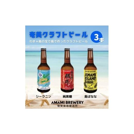 ふるさと納税 ビール 地ビール 鹿児島県 伊仙町 奄美クラフトビール 3本入り 地ビール