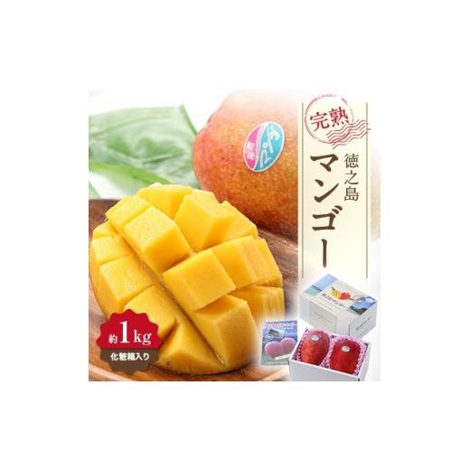 ふるさと納税 マンゴー 鹿児島県 伊仙町 先行予約 2026年7月より順次発送 清水果樹園 マンゴー 約1kg(化粧箱入り)