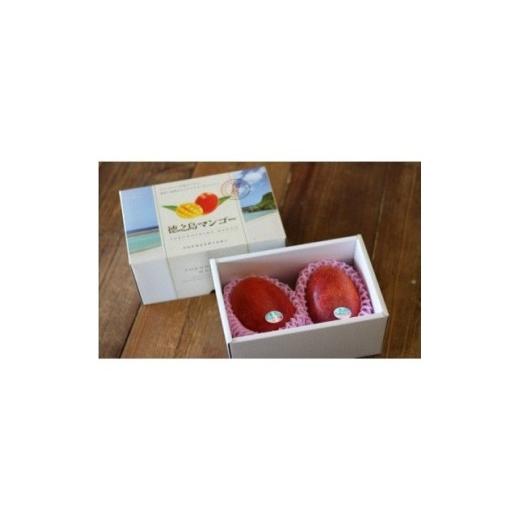 ふるさと納税 マンゴー 鹿児島県 伊仙町 2026年7月中旬より順次発送 完熟マンゴー約1kg(2〜3個:化粧箱入り)、家庭用(B級品)