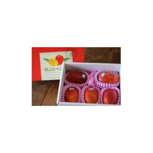 ふるさと納税 マンゴー 鹿児島県 伊仙町 2026年7月中旬より順次発送 完熟マンゴー約2kg(4〜6個:化粧箱入り)、家庭用(B級品)