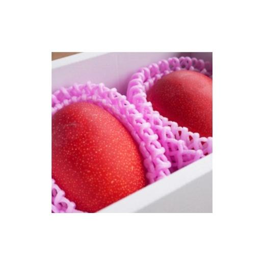 ふるさと納税 マンゴー 鹿児島県 伊仙町 先行予約 2026年7月発送 徳之島 伊仙町 盛農園より徳之島マンゴー 約2kgをお届け 化粧箱