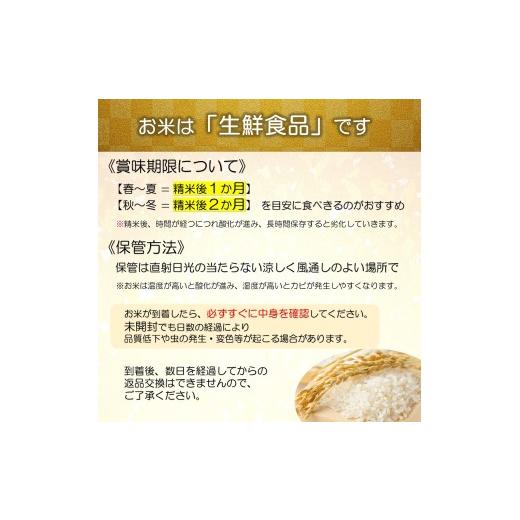 ふるさと納税 玄米 山形県 南陽市  令和8年産 新米 先行予約 金賞受賞農家 《定期便3回》 特別栽培米 いのちの壱 (玄米) 5kg×3か月 《令和8年10月中旬〜発送…の画像