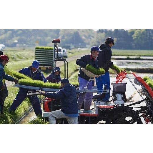 ふるさと納税 玄米 山形県 南陽市  令和8年産 新米 先行予約 金賞受賞農家 《定期便3回》 特別栽培米 いのちの壱 (玄米) 5kg×3か月 《令和8年10月中旬〜発送…の画像