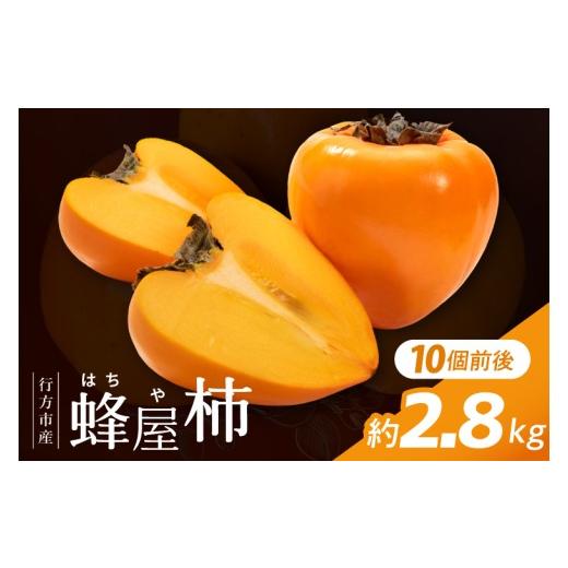 ふるさと納税 果物類 柿 茨城県 行方市 2026年11月より順次発送 行方市産 蜂屋柿 約2.8kg|蜂屋柿 かき 柿 果物 フルーツ 先行予約 茨城県 行方市(CP-16)
