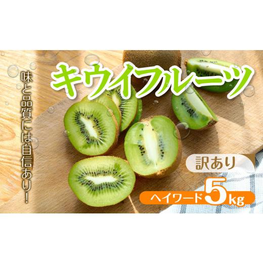 ふるさと納税 果物類 千葉県 船橋市 訳アリ (扁平化) キウイ 5kg キウイフルーツ ヘイワード 数量限定 国産 フルーツ 果物 酸味 甘い 栄養補給 数量限定 期…