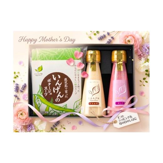 ふるさと納税 調味料・油 ドレッシング 鹿児島県 垂水市 W-0720/ 2026母の日ギフト ミニドレ・ソース&いんげんのポタージュ