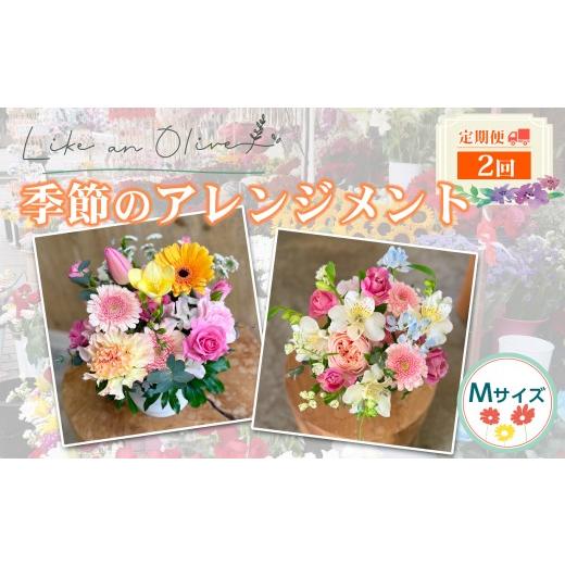 ふるさと納税 花・苗木 花束 新潟県 糸魚川市 定期便 アレンジメント M (毎月定期便) 選べる回数:2回 フラワーアレンジメント アレンジメント 季節の花 …