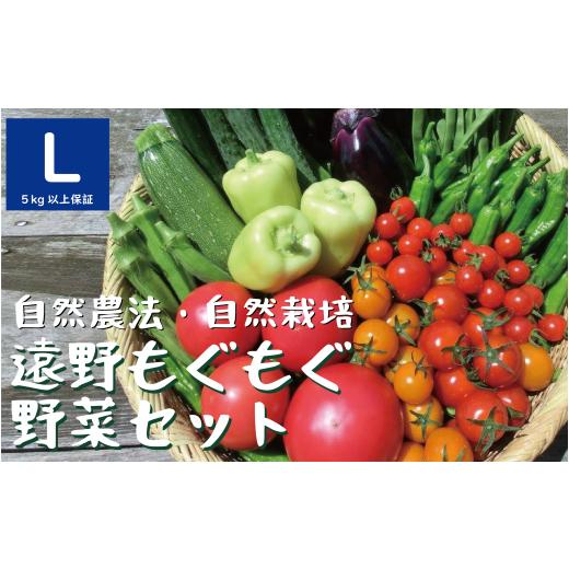 ふるさと納税 セット・詰合せ 岩手県 遠野市 自然農法 自然栽培 果菜たっぷり旬の食べごろ健康野菜セット 10〜12種 Lサイズ (5kg〜8kg) 遠野もぐもぐカント…