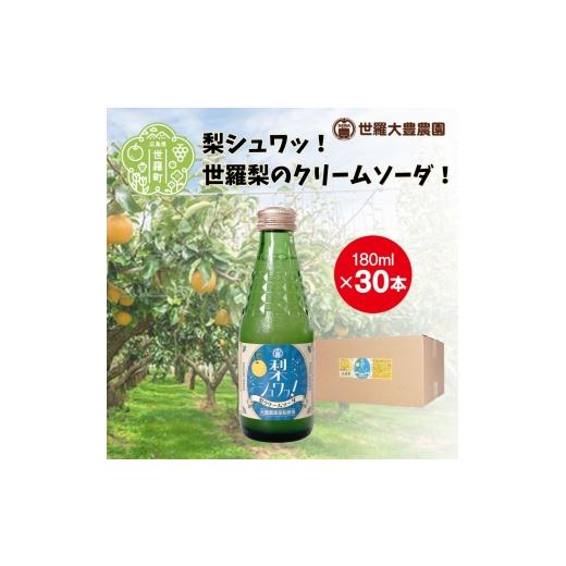 ふるさと納税 炭酸飲料 広島県 世羅町 梨シュワッ 〜世羅梨のクリームソーダ 〜 梨 なし クリームソーダ ジュース 炭酸 桜南 食品 世羅 世羅梨 A019-06