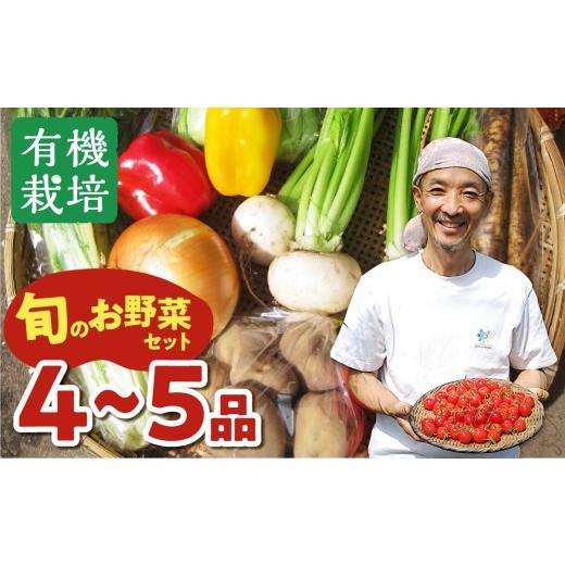 ふるさと納税 人参・大根・他根菜 岐阜県 飛騨市 [令和8年産 先行予約受付中]野菜の栄養価コンテストグランプリ農家が贈る 無農薬栽培野菜 4〜5品 平日配送…