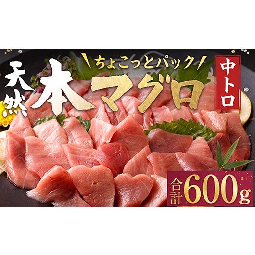 ふるさと納税 マグロ 高知県 室戸市 天然本マグロ 中とろ 切落し お手軽 ちょこっとパック 60g×10パック 合計600g 食べきりサイズ 本マグロ 中とろ 切り落と…