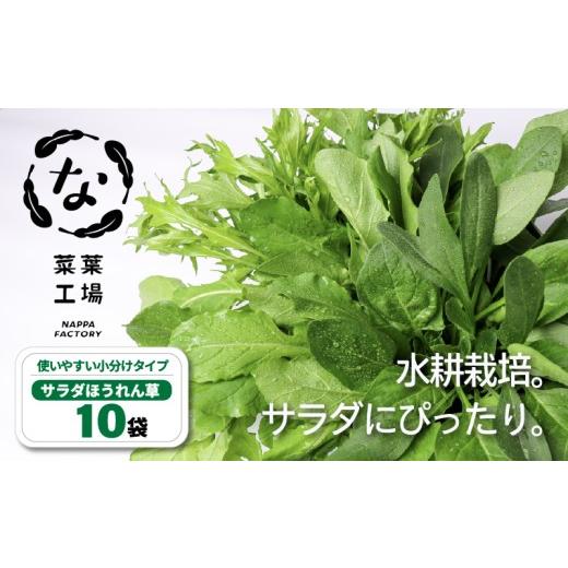 ふるさと納税 野菜類 高知県 南国市 葉野菜 サラダ ほうれん草 | ほうれんそう ホウレンソウ 水菜 ミズナ 生食 野菜 セット 新鮮 健康 人気 おすすめ 高知県 …