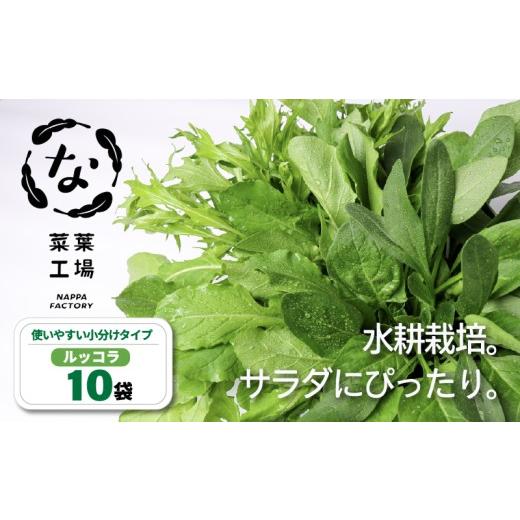 ふるさと納税 野菜類 高知県 南国市 葉野菜 サラダ ルッコラ | ほうれんそう ホウレンソウ 水菜 ミズナ 生食 野菜 セット 新鮮 健康 人気 おすすめ 高知県 南…
