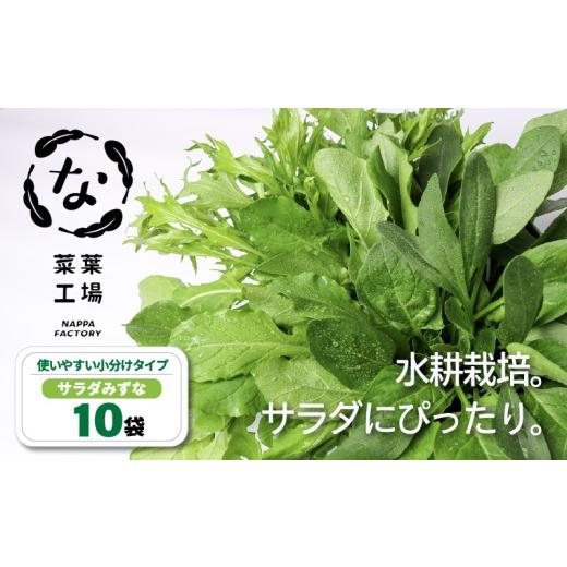 ふるさと納税 野菜類 高知県 南国市 葉野菜 サラダ みずな | ほうれんそう ホウレンソウ 水菜 ミズナ 生食 野菜 セット 新鮮 健康 人気 おすすめ 高知県 南国…