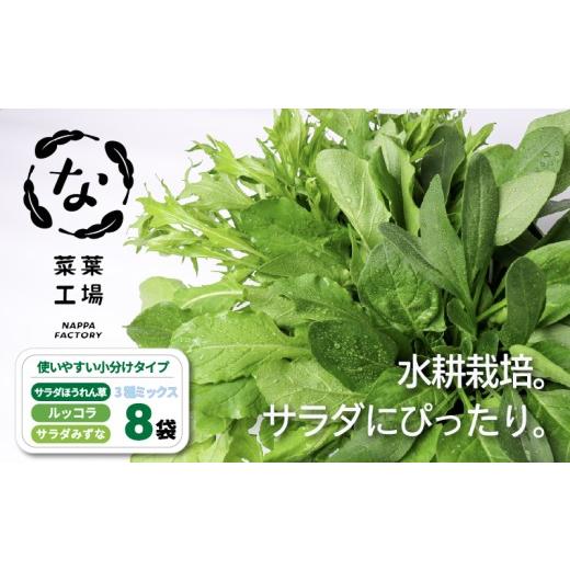 ふるさと納税 セット・詰合せ 高知県 南国市 葉野菜 サラダ 3種ミックス ルッコラ ほうれん草 みずな なっぱトリオ | ほうれんそう ホウレンソウ 水菜 ミズナ …