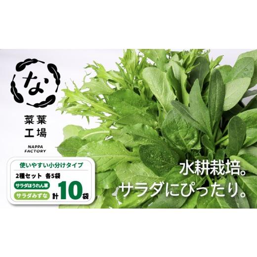 ふるさと納税 セット・詰合せ 高知県 南国市 葉野菜 2種セット サラダ ほうれん草 みずな | ほうれんそう ホウレンソウ 水菜 ミズナ 生食 野菜 セット 新鮮 健…
