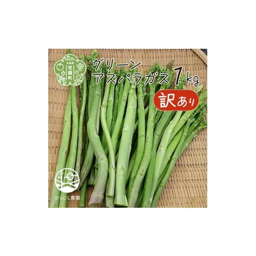ふるさと納税 野菜類 アスパラガス 広島県 世羅町 夏芽・訳あり グリーン アスパラガス 1kg 期間限定 アスパラ 野菜 産地直送 新鮮 わけあり 世羅 A039-04