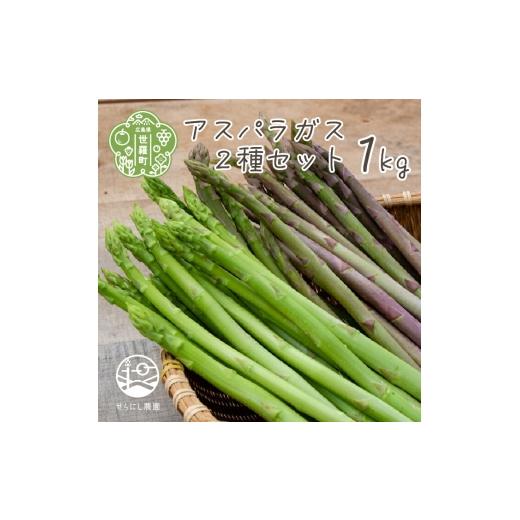 ふるさと納税 野菜類 アスパラガス 広島県 世羅町 アスパラガス 2種セット 合計1kg(グリーンアスパラガス 600g・パープルアスパラガス 400g) 7月までの期間限…