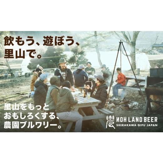 ふるさと納税 ビール 地ビール 岐阜県 白川町  7月発送 農LAND BEER クラフトビール 6種(各種4本) 計24本 詰め合わせBOX 飲料 お酒 セット 白川町 ／ Sunpo AW…の画像