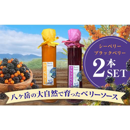 ふるさと納税 加工品等 長野県 原村 八ヶ岳 の大自然で育った ブラックベリー &amp; シーベリー ソース 2本 セット | ヨーグルト アイス デザート 甘い 農薬不…