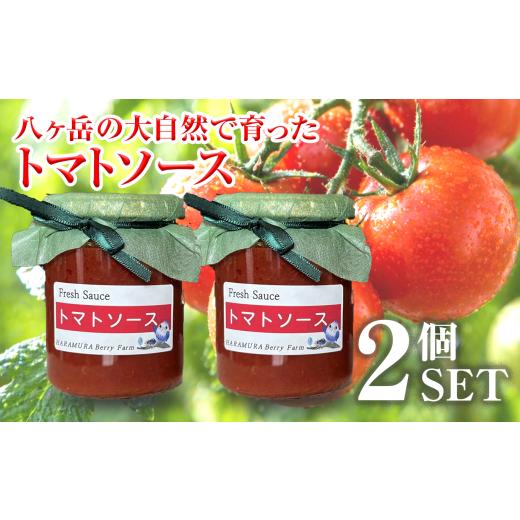 ふるさと納税 野菜類 加工品 長野県 原村 八ヶ岳 の大自然で育った トマトソース 2本 セット | イタリアン 料理 パスタ スープ 煮込み 甘い 信州 八ヶ岳 長野…