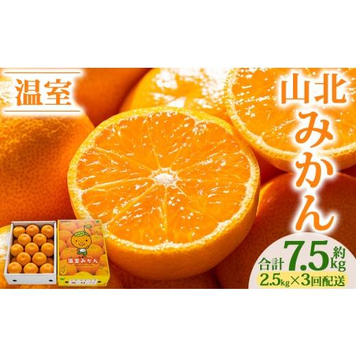 ふるさと納税 果物類 みかん 高知県 香南市 3回定期便 山北温室みかん 2.5kg 定期便 Wku-0062