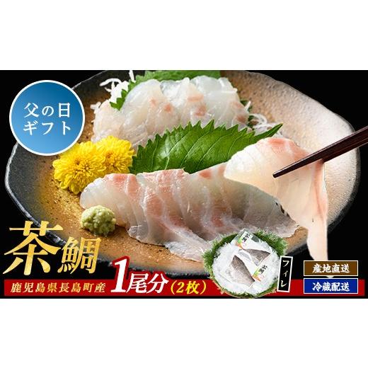 ふるさと納税 旬の鮮魚等 鹿児島県 長島町 父の日 6/10決済完了で6/21までにお届け 茶鯛 フィレ(2枚入り) ウスイ usui-7321-02