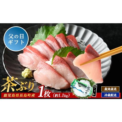 ふるさと納税 旬の鮮魚等 鹿児島県 長島町 父の日 6/10決済完了で6/21までにお届け 茶ぶり フィレ (1枚) ウスイ usui-7322-02