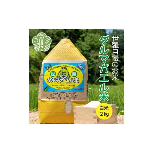 ふるさと納税 米 広島県 世羅町 令和7年産 世羅 ダルマガエル米 白米 2kg お米 ごはん ご飯 米 世羅産 世羅米 あきろまん A055-02