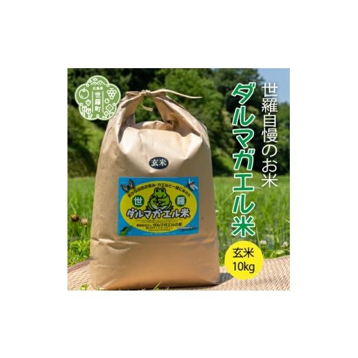 ふるさと納税 玄米 広島県 世羅町 令和7年産 世羅 ダルマガエル米 玄米 10kg(5kg×2袋)お米 ごはん ご飯 米 世羅産 世羅米 あきろまん A055-07