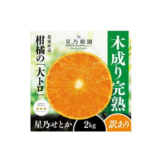 ふるさと納税 みかん・柑橘類 愛媛県 八幡浜市 訳あり 星乃せとか 柑橘の大トロ(2kg) C45-92 _ 訳アリ わけあり ワケアリミカン みかん せとか フルーツ 果物…