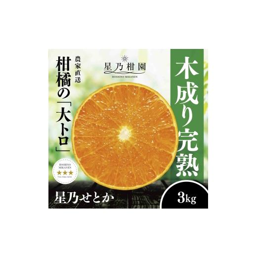 ふるさと納税 みかん・柑橘類 愛媛県 八幡浜市 三つ星ブランド 星乃せとか(3kg) D45-93 _ みかん ミカン 柑橘 せとか フルーツ くだもの 果物 ふるーつ 青果 …