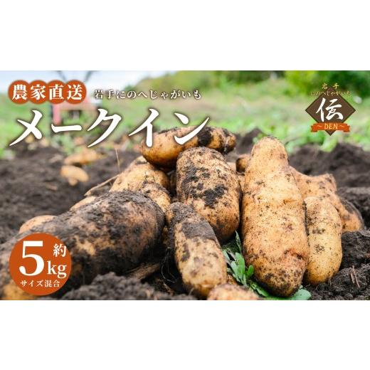 ふるさと納税 野菜類 じゃがいも 岩手県 二戸市 厳選品 岩手にのへじゃがいも「伝」メークイン ( サイズ混合 ) 5kg / じゃがいも 野菜 やさい 国産 岩手県…