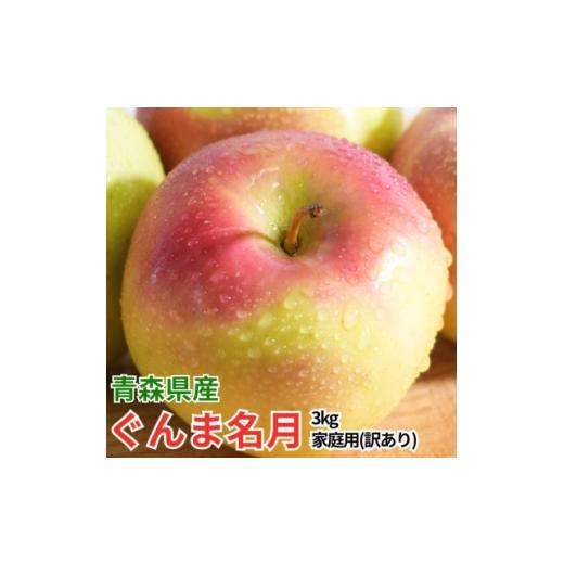 ふるさと納税 りんご 青森県 青森市 26年4月〜26年5月出荷予定 平均糖度13度以上 ぐんま名月 約3kg 訳あり りんご 青森県産 1729068