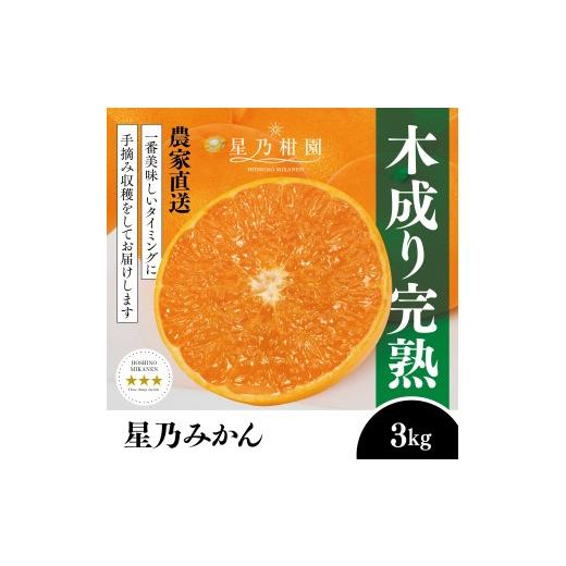 ふるさと納税 果物類 みかん 愛媛県 八幡浜市 三つ星ブランド 星乃みかん(3kg) A45-96 1625777 YW