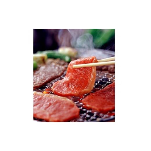 ふるさと納税 牛肉 焼肉・バーベキュー 熊本県 美里町 GI くまもとあか牛 焼肉 500g(美里町) 1727268