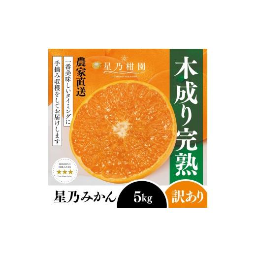 ふるさと納税 果物類 みかん 愛媛県 八幡浜市 訳あり 星乃みかん園の星乃みかん(5kg) A45-98 1650693 YW