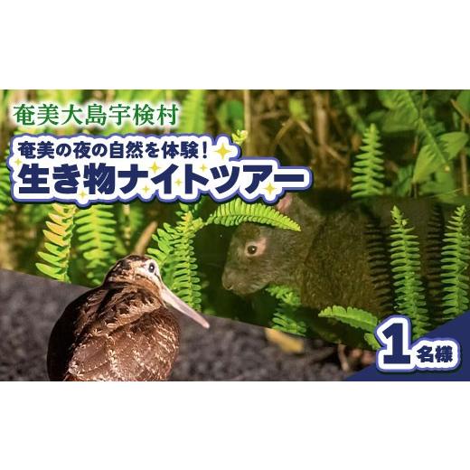 ふるさと納税 体験チケット 鹿児島県 宇検村 生き物ナイトツアー 1名様 奄美大島 宇検村 鹿児島県 旅行 自然 冒険 完全プライベート 1名様