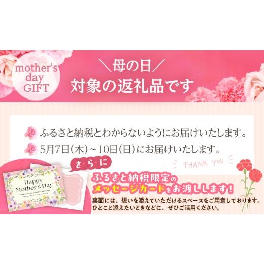 ふるさと納税 肉 ハンバーグ 宮崎県 都農町 母の日までにお届け 数量限定 宮崎県産豚プレミアムハンバーグ(計15個) 肉 豚肉 加工品 惣菜 国産_T001-0115-MA …