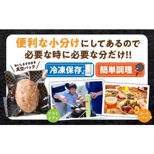 ふるさと納税 肉 ハンバーグ 宮崎県 都農町 母の日までにお届け 数量限定 宮崎県産豚プレミアムハンバーグ(計15個) 肉 豚肉 加工品 惣菜 国産_T001-0115-MA …
